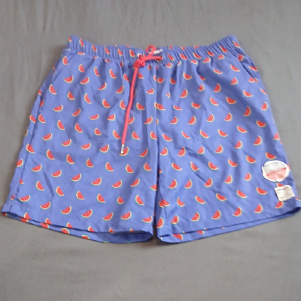 Watermelon Print Athletic Shorts